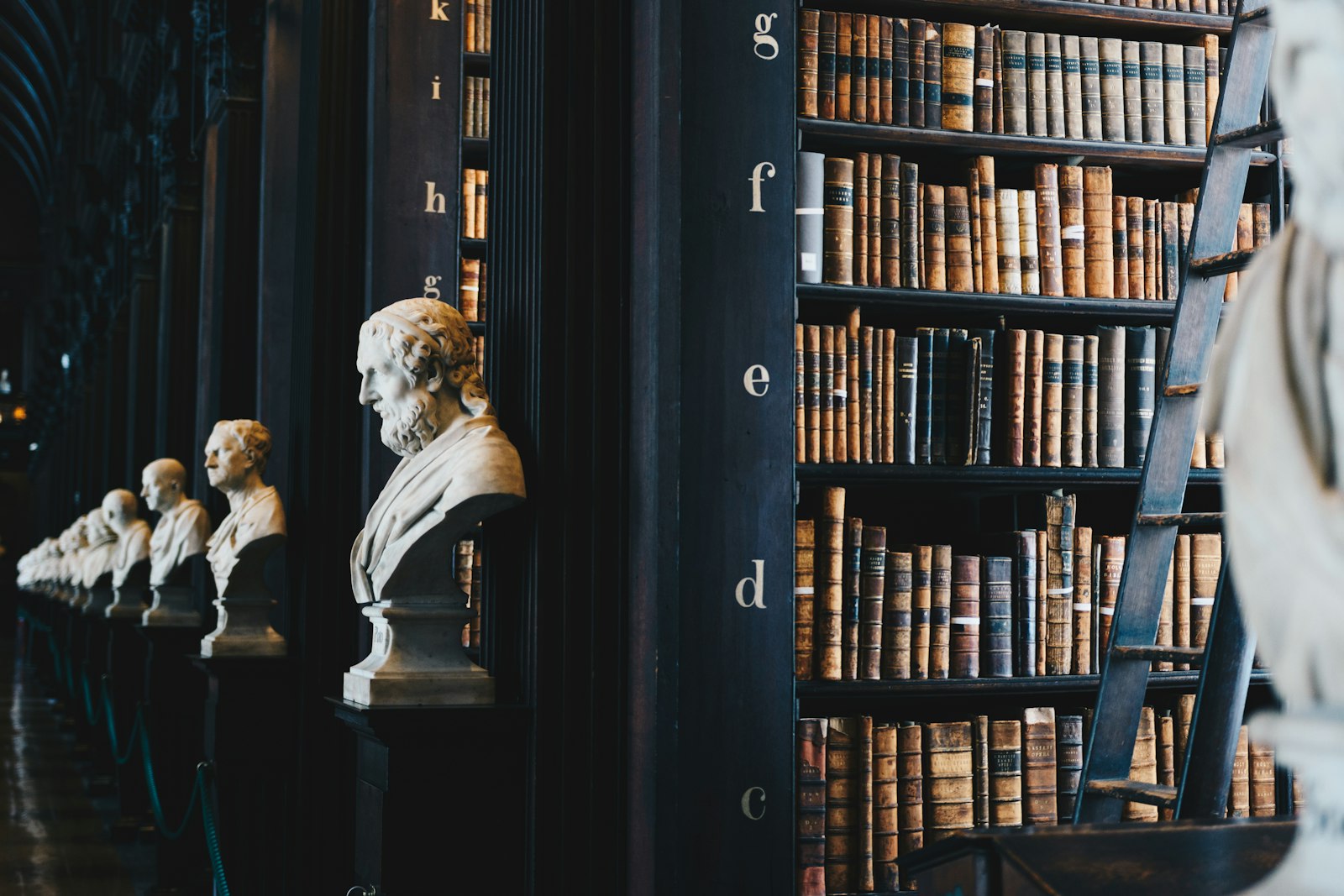 Biblioteca clásica con estanterías de libros antiguos y bustos de mármol